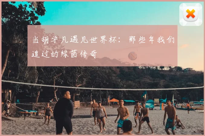 当胡学凡遇见世界杯：那些年我们追过的绿茵传奇