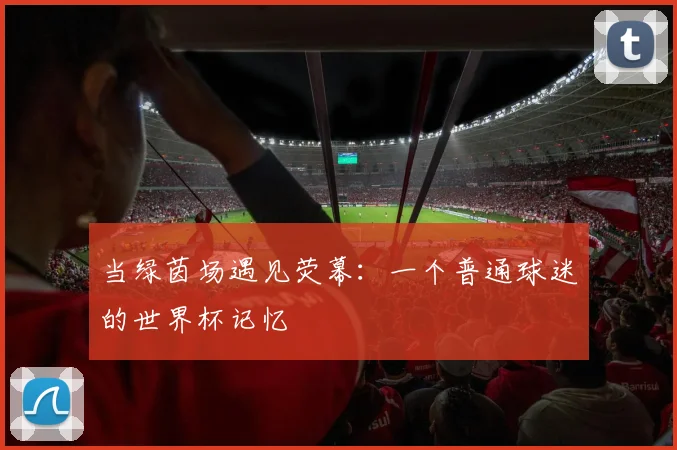 当绿茵场遇见荧幕：一个普通球迷的世界杯记忆